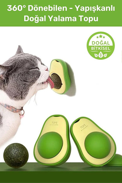 Kediniz İçin Sağlık ve Eğlence Bir Arada: Doğal Kedi Çimi & Avokado Catnip Seti