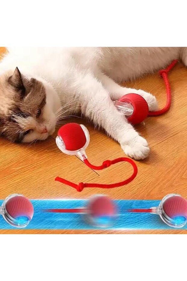 Solopet Akıllı İnteraktif Kedi Köpek Oyun Topu - Otomatik Hareketli ve LED Işıklı