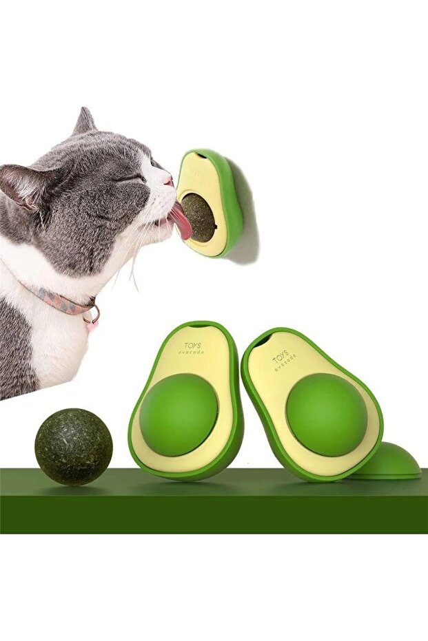 Kediniz İçin Sağlık ve Eğlence Bir Arada: Doğal Kedi Çimi & Avokado Catnip Seti