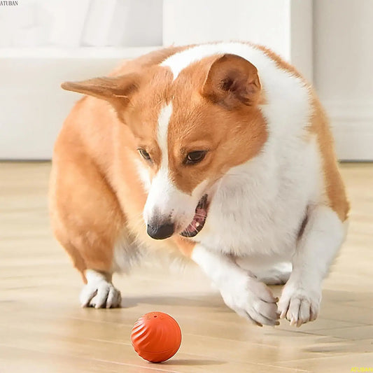 Solopet Akıllı İnteraktif Kedi Köpek Oyun Topu - Otomatik Hareketli ve LED Işıklı