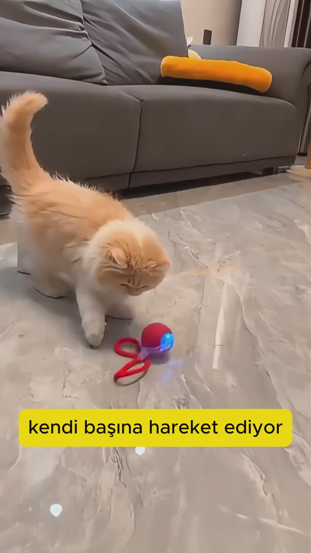Videoyu yükle: Ürün Tanıtım Videosu