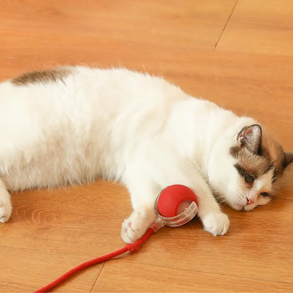 Solopet Akıllı İnteraktif Kedi Köpek Oyun Topu - Otomatik Hareketli ve LED Işıklı