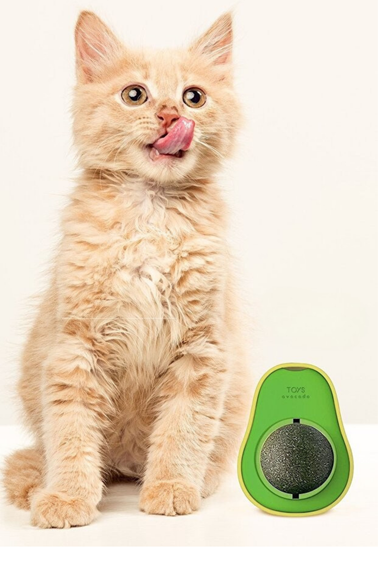 Kediniz İçin Sağlık ve Eğlence Bir Arada: Doğal Kedi Çimi & Avokado Catnip Seti