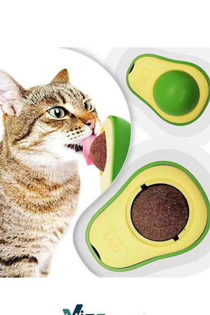 Kediniz İçin Sağlık ve Eğlence Bir Arada: Doğal Kedi Çimi & Avokado Catnip Seti